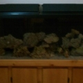 tankview_121810