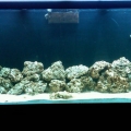 IMG00009-20110205-1432
