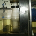 IMG00010-20110205-1433