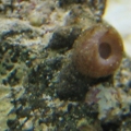 What is this?