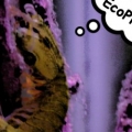 Fister thinkin' EcoPico