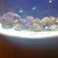 My Tank =]