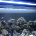 TANK212