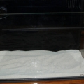 P4101145