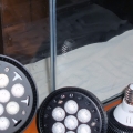 P4101149
