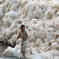 World's Largest Protein Skimmer