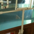 Tank Build-up - Plumbing pre-paint