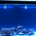 photo_1