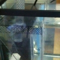 photo_2