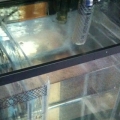 photo_4