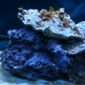 photo9