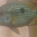 2011-07-18_18_01_04