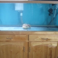 New Reef Tank