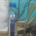 New Reef Tank