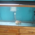 New Reef Tank
