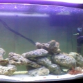my tank