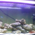 my tank