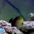 my inhabitants