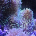 DSC00080