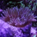 DSC000821