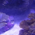 DSC00138
