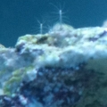What is this?