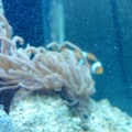 my new aquarium stuff
