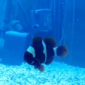 my new aquarium stuff