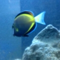 my new aquarium stuff
