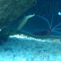 my new aquarium stuff