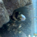 my new aquarium stuff