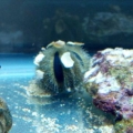 my new aquarium stuff