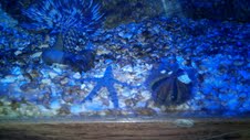 my new aquarium stuff