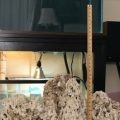 Pukani Rock: 3 Pieces 57 lbs From BRS