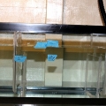 DIY Sump Being Tested