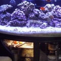 FTS w/sump