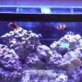 FTS