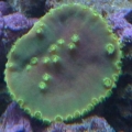 P1010213