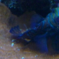 P1010235