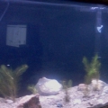 Rivertank