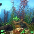SAM_0466