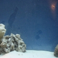 Picture_0031
