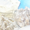 Picture_004