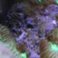 aquarium016-1