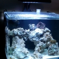 Innovative Marine nuvo 38