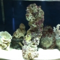 three weeks in
