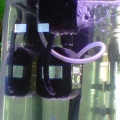 Bak-Pak Protein skimmer with Bio