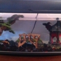 Starter Tank