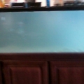 fish_tank_day_1_4_