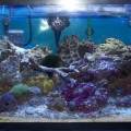 Jeff's 40 Breeder.